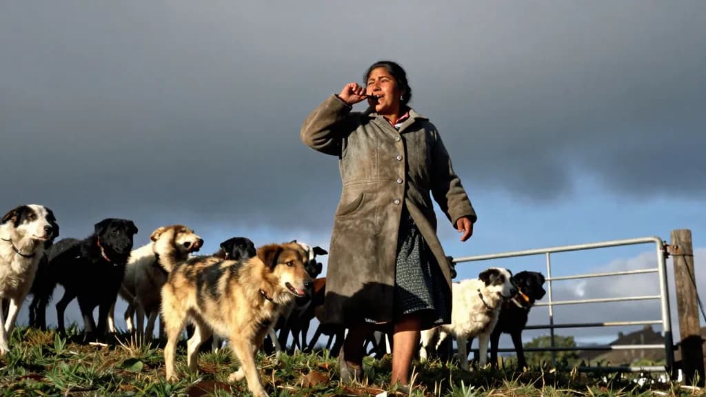 A Latina woman in her early fifties with weathered skin and hair tied back is walking the flock up the hill toward a gate with the dog working the flank, the…